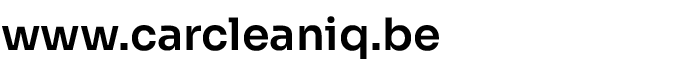 website.png